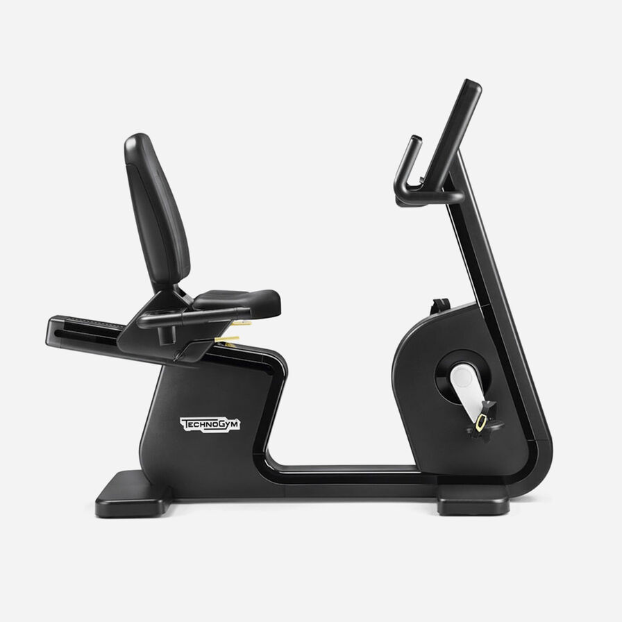 Technogym Bike