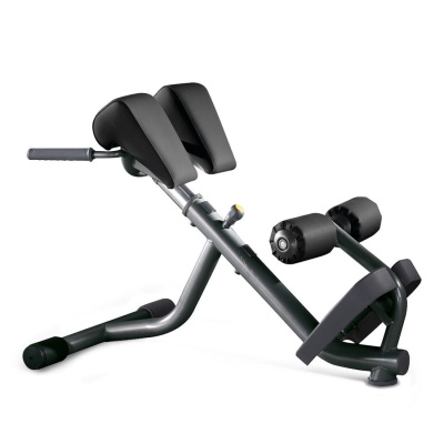 Technogym Bike
