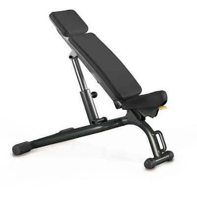 Technogym Bike