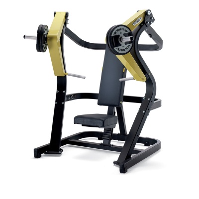 Technogym Bike